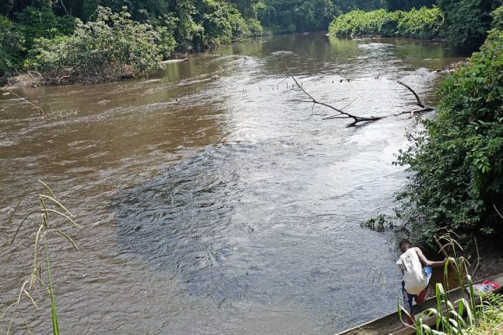 Mission de terrain en bord de cours d’eau