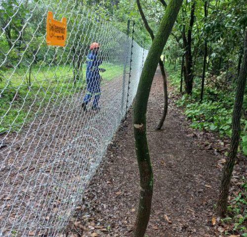 Clôture installée en bordure de forêt